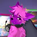 @neiro.fursona.club's avatar